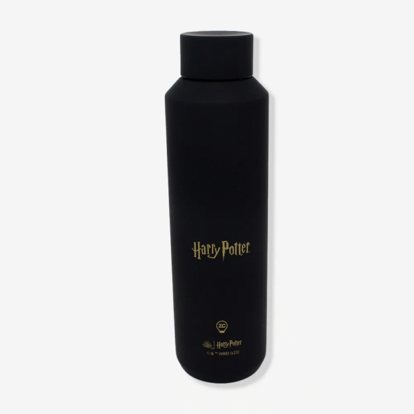 GARRAFA ACQUA 600ML BRASAO HOWGWARTS - Imagem 2