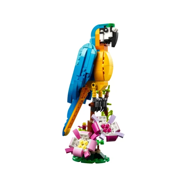 PAPAGAIO EXOTICO - Imagem 2