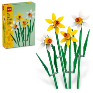 NARCISOS