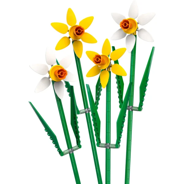 NARCISOS - Imagem 2