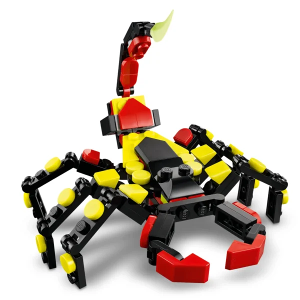 ANIMAL SELVAGEM: ARANHA SURPREENDENTE - Imagem 4