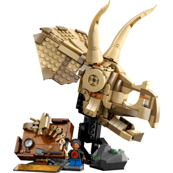 FOSSIL TRICERAPTOR - Imagem 3