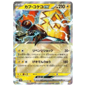TAPU KOKO EX (019/062)