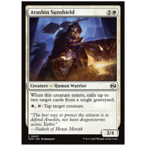 ARASHIN SUNSHIELD (C0003)