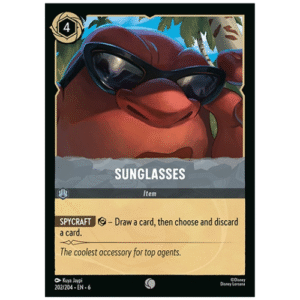 SUNGLASSES (202/204)