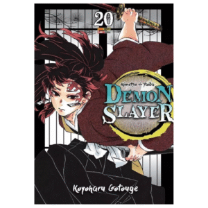 DEMON SLAYER - KIMETSU NO YAIBA - 20