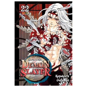 DEMON SLAYER - KIMETSU NO YAIBA - 22