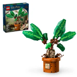 MANDRAGORA