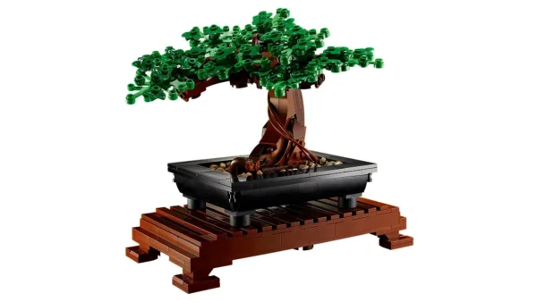BONSAI - Imagem 3