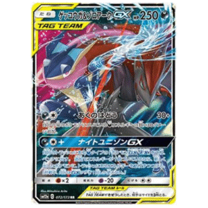 GRENINJA E ZOROARK GX (072/173)