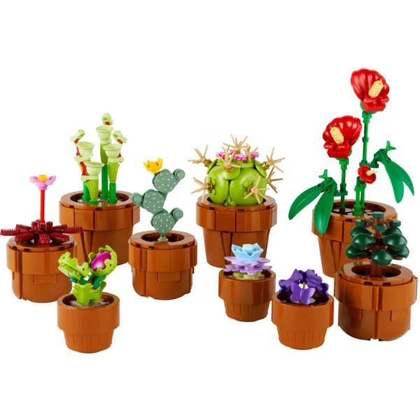 PLANTINHAS - Imagem 3