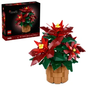 POINSETIA