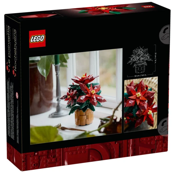 POINSETIA - Imagem 2