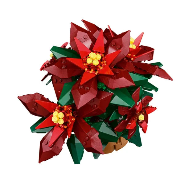 POINSETIA - Imagem 3