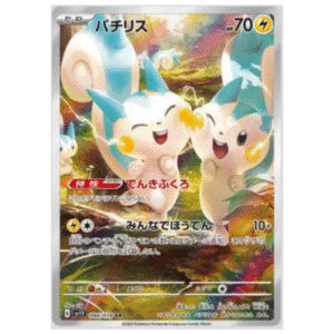 PACHIRISU (084/078)