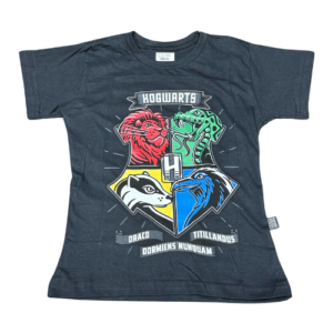 CAMISETA INFANTIL HARRY POTTER CASAS
