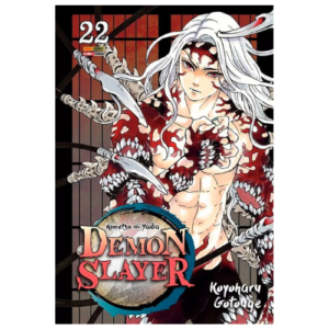 DEMON SLAYER - KIMETSU NO YAIBA - 22