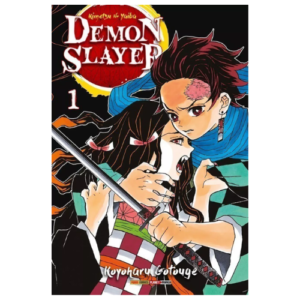 DEMON SLAYER - KIMETSU NO YAIBA - 01