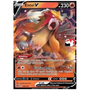 ENTEI V LIGA SERIE 3 (22/172)