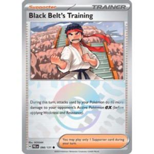TREINO DE FAIXA PRETA (098/131) - POKEBALL