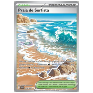 PRAIA DE SURFISTA (114/086)